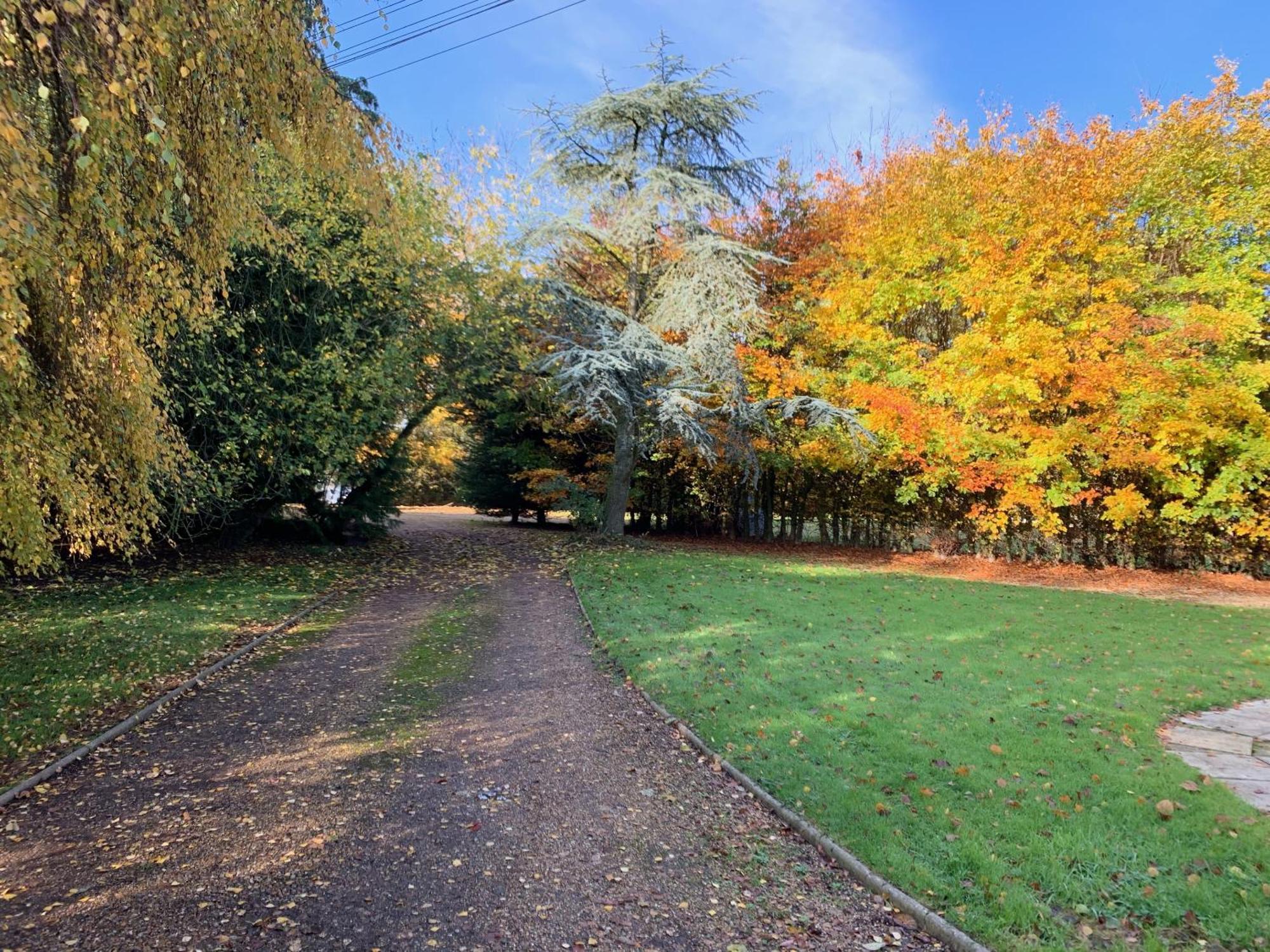 Aldercarr Hall Great Ellingham Екстер'єр фото